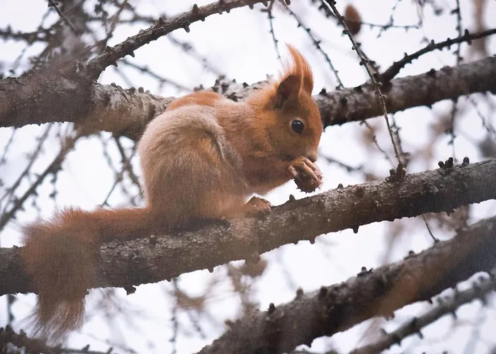 Italianway - Funivie 6a Апартаменты